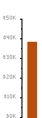 Fundraising Meter